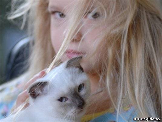 Для души и отличного настроения (фото 7)