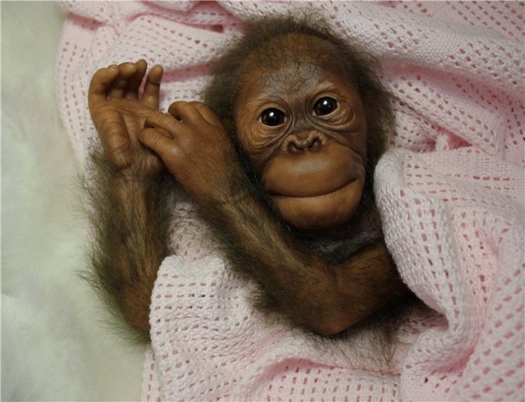 Гоша! Наш милый Гоша! Кукла реборн Анастасии Гангало (фото 3)