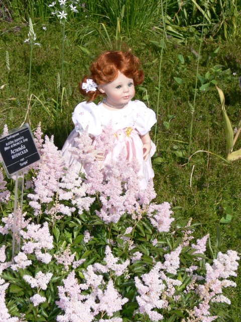 Прогулка в Ботаническом саду Санкт Петербурга. Часть 3. Садовая клумба