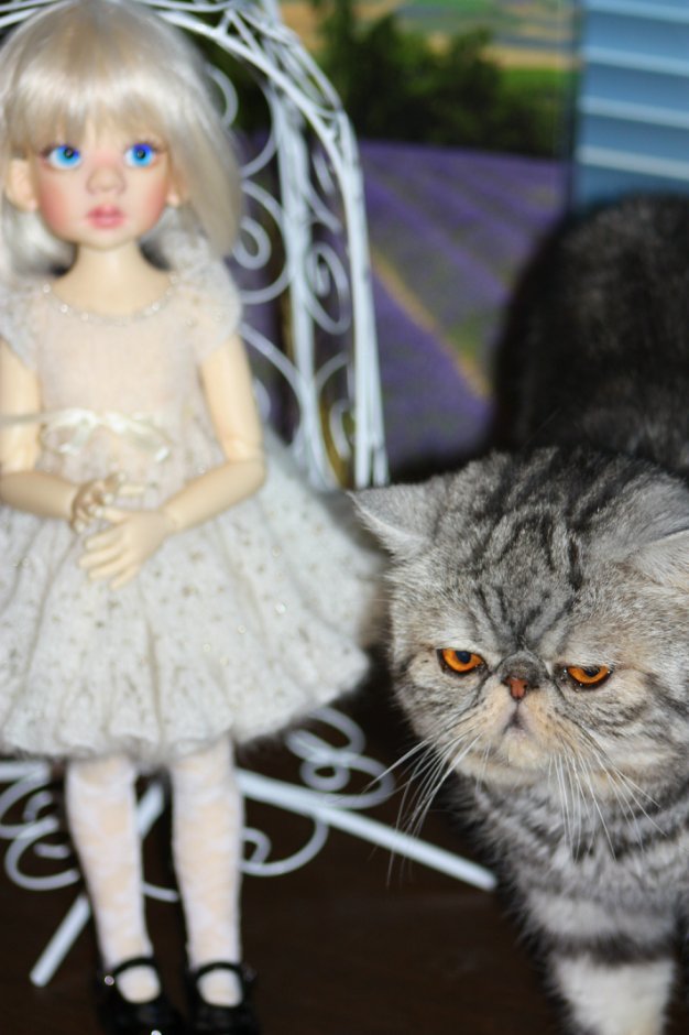 Моя красоточка Талисса, Kaye Wiggs (фото 7)