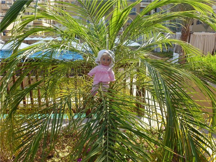 Кукольный шок или Светланка в Арабских Эмиратах