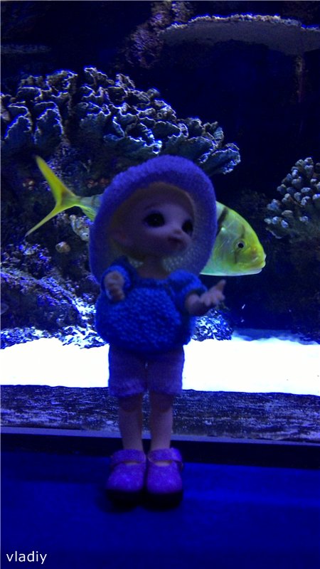 Как Стеша в Океанариум ездила