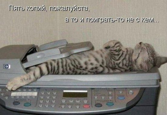 Просто добавь улыбку или пятничный девиз