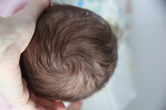 Малышка Кармен. Куколка реборн Виктории Вишни (фото 2)