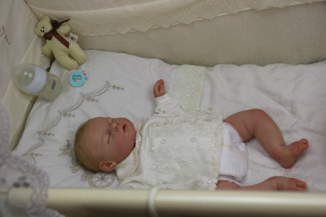 Ноашечка. Куколка реборн Виктории Вишни