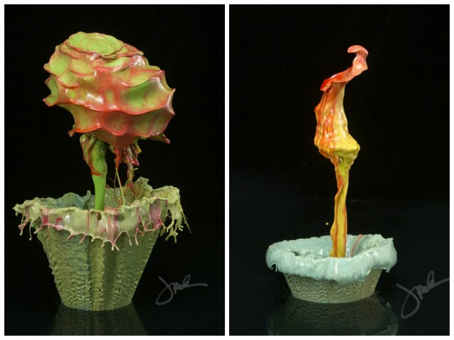 Капелька2 -ВСПЛЕСК- американский фотограф Джек Лонг | Бэйбики Капелька2 -ВСПЛЕСК- американский фотограф Джек Лонг