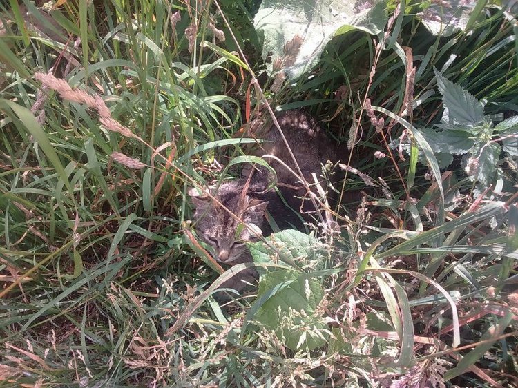 Воткинск — родина гения музыки Петра Ильича Чайковского. Часть 1