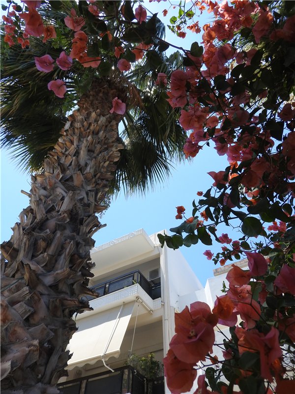 Греция, Крит, путешествие Светланки