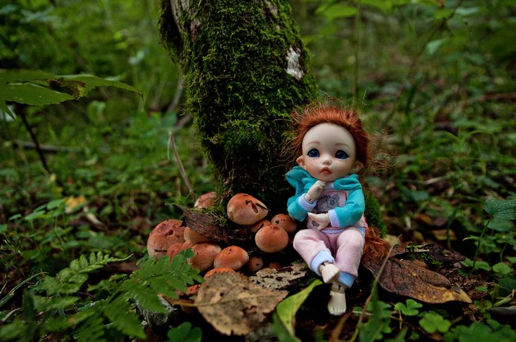 Ника в лесу (Pukifee Ante) | Бэйбики Ника в лесу (Pukifee Ante) (фото 4)