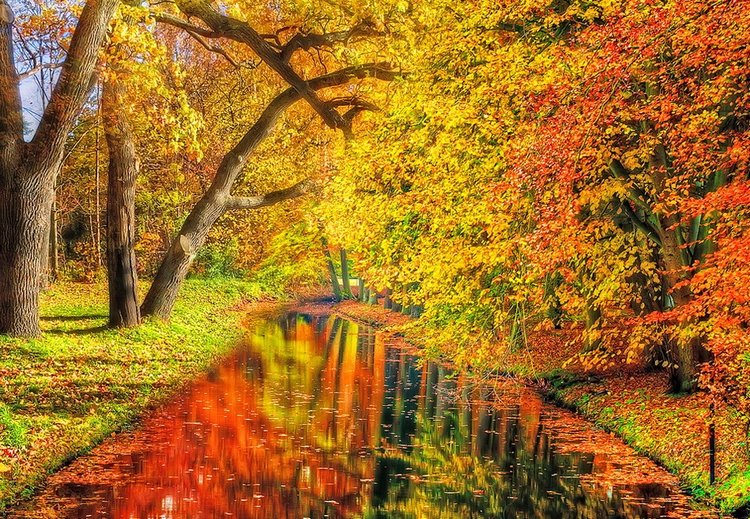 Красотка-осень — Болталка и разговоры обо всем: жизнь