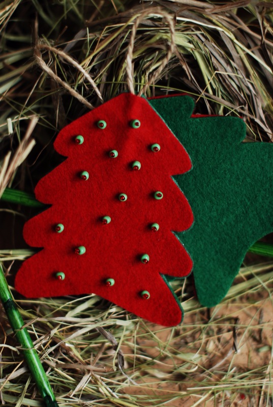 Ёлки-иголки — Другие хобби и увлечения: сад (фото 6)