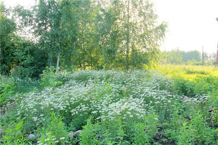 Русская Атлантида, заключительная часть. Калязин, Тверская область