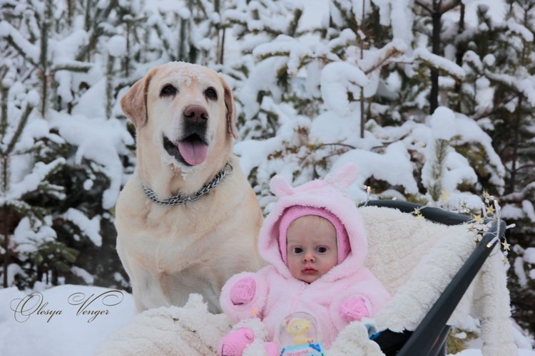 Моя Хлоя, мой любознательный Совенок, кукла реборн Олеси Венгер