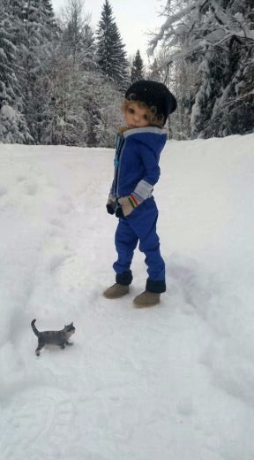 Прогулка в заснеженный лес с Морисом (фото 2)