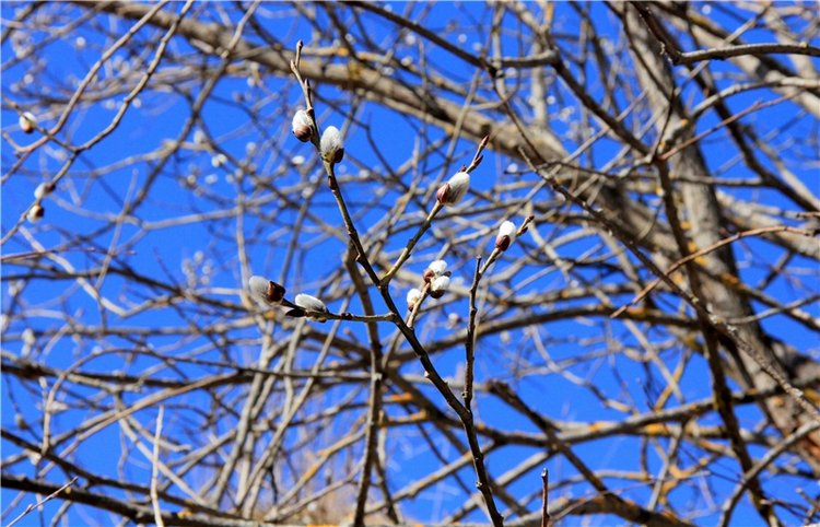 Приключения Адель на водопаде. Джульетта от Sylvia Natterer (фото 7)