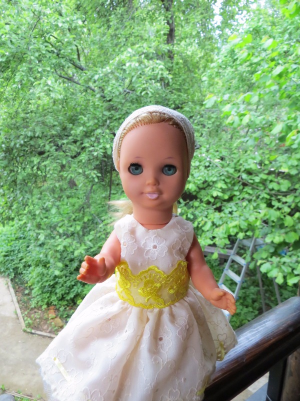 Как Шарлотта ездила на дачу