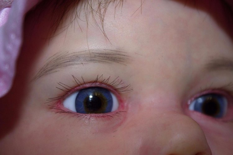 Малыш Penny, моя версия — Куклы Реборн (Reborn): работы мастеров