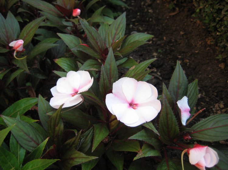 Вот такая вот Болгария — Туризм и путешествия: фотоотчеты из поездок