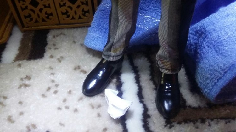 Зимнее солнце. Глава 8. Староста