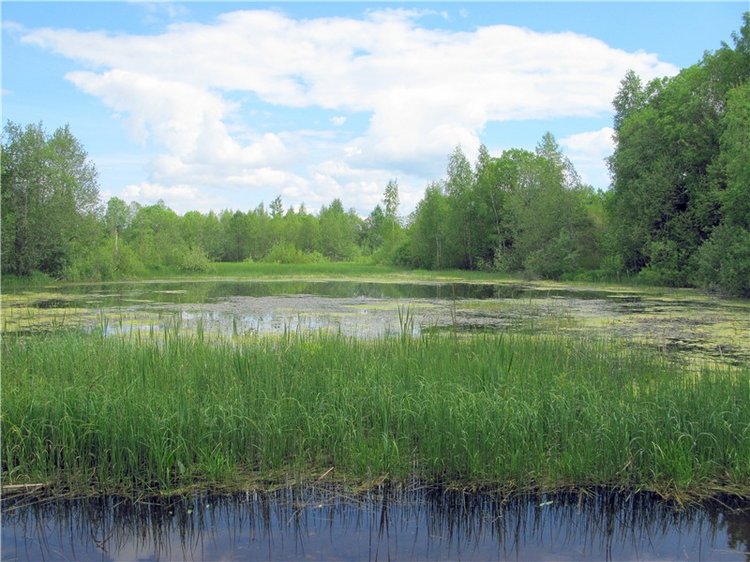 Тверской Водопад — Туризм и путешествия: фотоотчеты из поездок (фото 7)