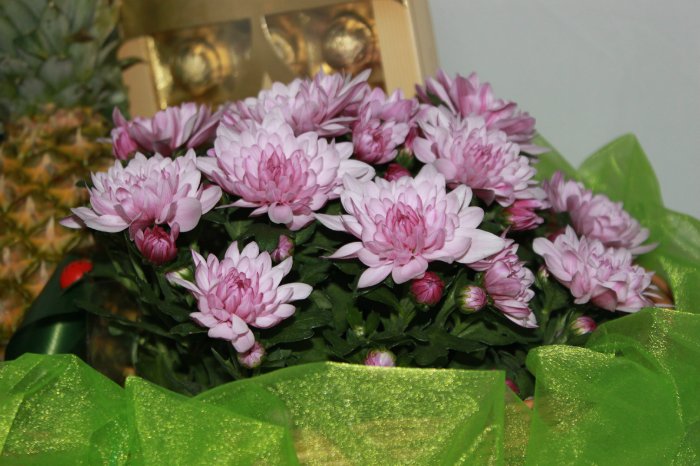 Уж я по лесу ходила... Корзина в подарок (фото 5)