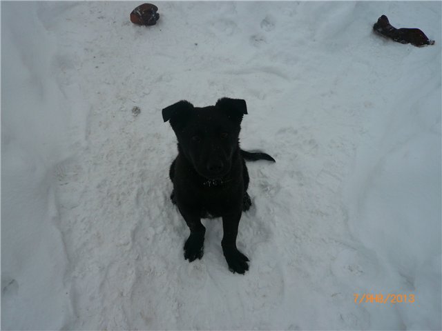 Кукла Света и Рождество — Советские винтажные куклы (СССР): Ленигрушка (фото 6)