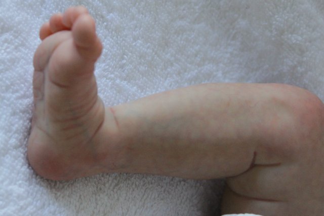 Ангелочки малыши... Куколки реборн Вишни Виктории