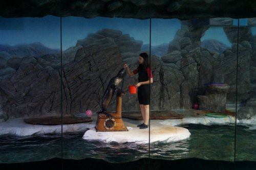 Воронежский океанариум — Туризм и путешествия: фотоотчеты из поездок