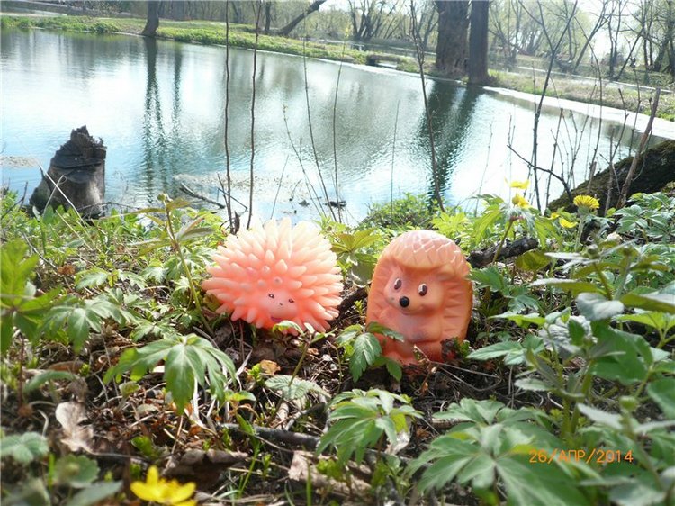 Про Мишку. Коллекционный Мишка Панда от Charlie Bears (фото 10)