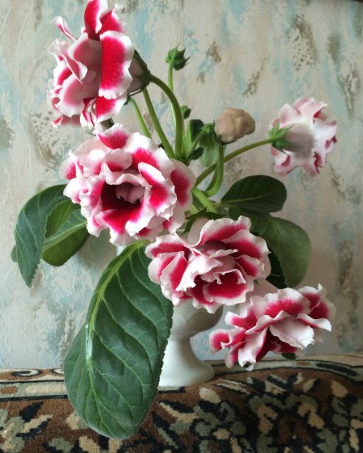 Нисса от Kaye Wiggs и её друзья