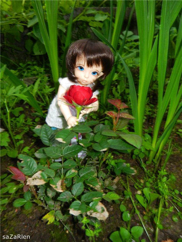 Варвара путешевственница (Литтлфи Анте) (фото 7)