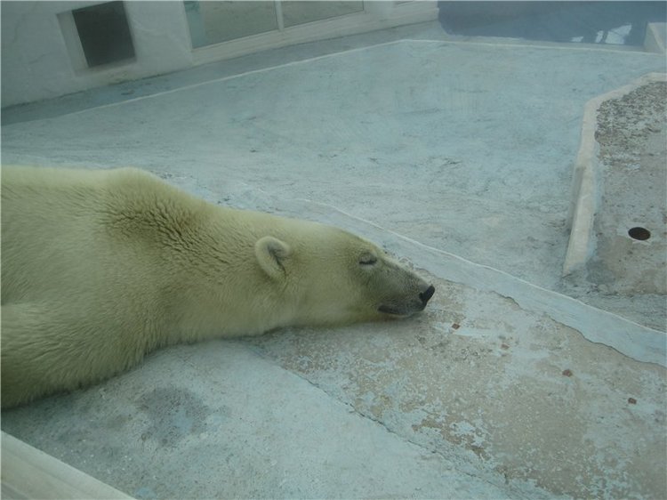 Галчонок и лето. Винтажна куколка СССР Галя