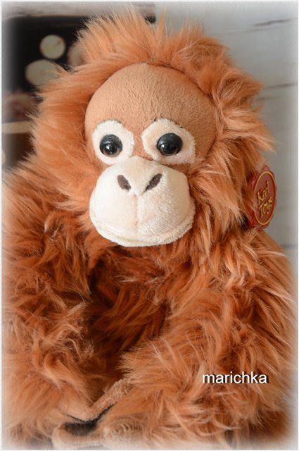 Год огненной обезьяны — Болталка и разговоры обо всем: жизнь (фото 2)