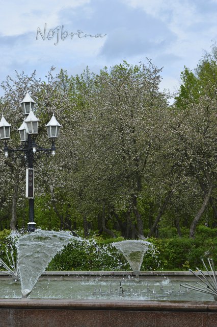 Яркие краски. Вихтели Rosemarie Anna Muller (фото 9)