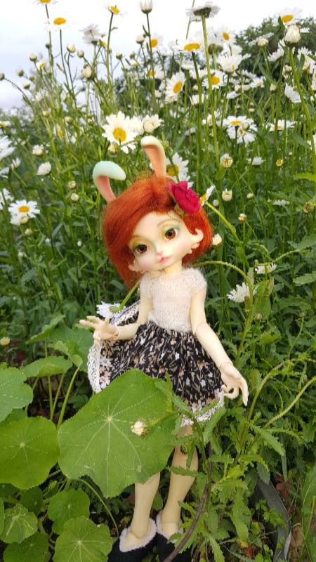 Василиса Морковкина — Куклы Lillycat (Лиликет) (фото 10)