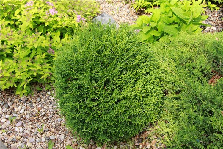 Кашин - город русского сердца. Часть седьмая. Вознесенский кафедральный собор