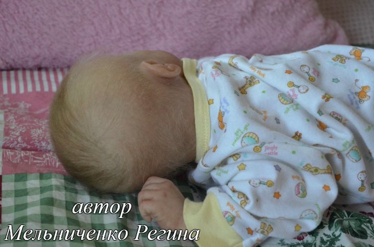 Americus. Куклы реборн Регины Мельниченко (фото 9)