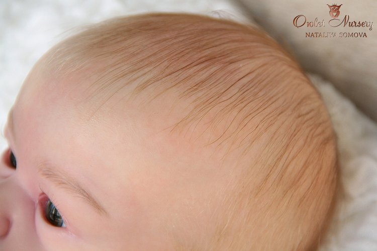 Тимофей. Кукла реборн Наталии Сомовой (фото 4)