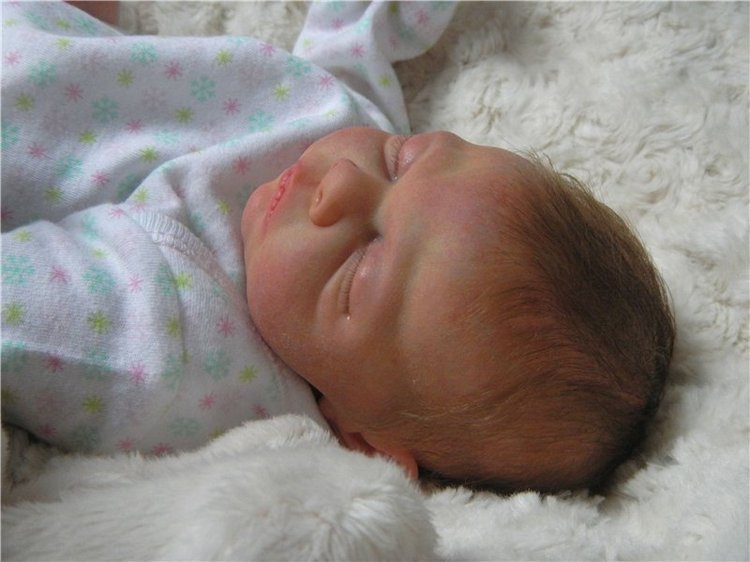 Возвращение блудного попугая. Куклы реборн (фото 3)