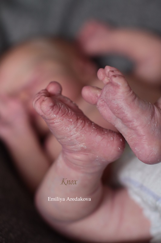 Мой реалистичный малыш реборн из молда Knox. Кукла Эмилии Аредаковой