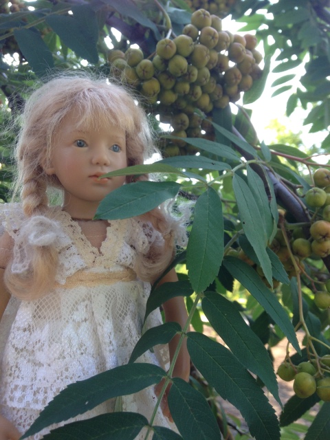 Сири в сосновом лесу. Siri mini club A. Himstedt