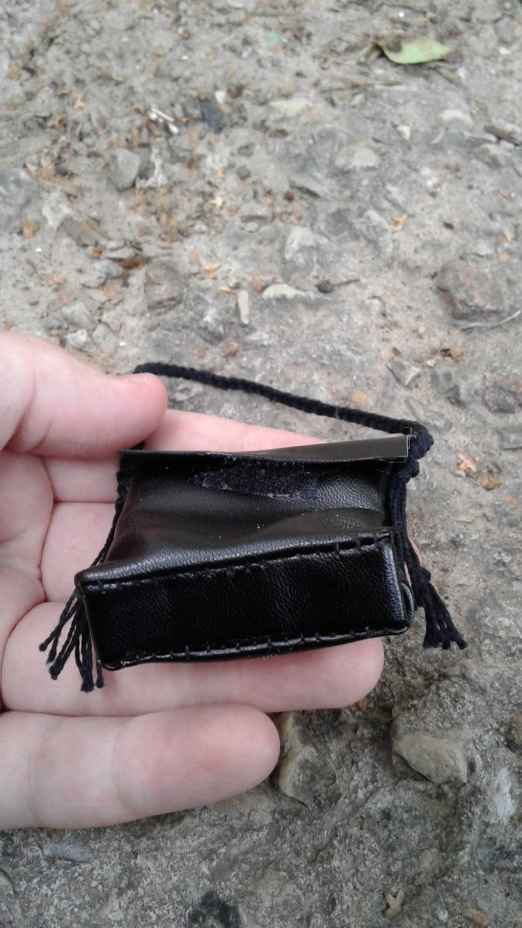 Зимнее солнце. Глава 1. Сказочный поезд