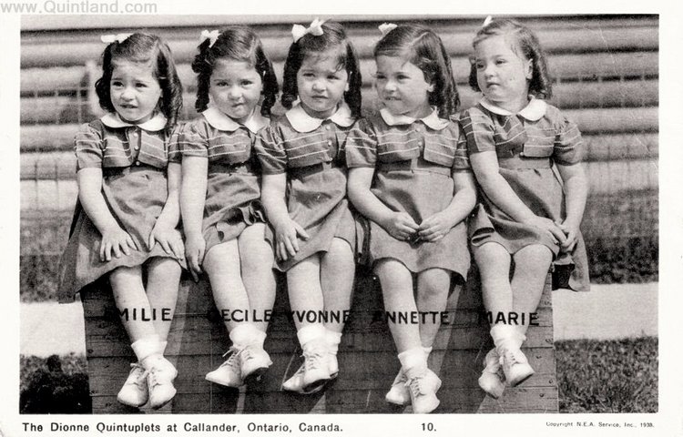 История трагической жизни, ставшая фурором кукольного мира . Часть 3 Заключение