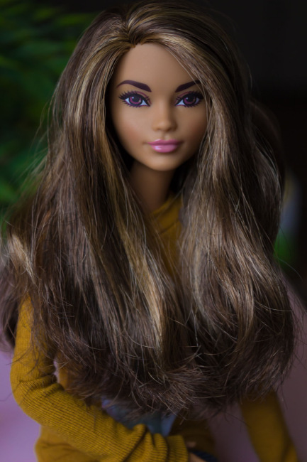 Мои Барбеечки Made to Move и гибриды