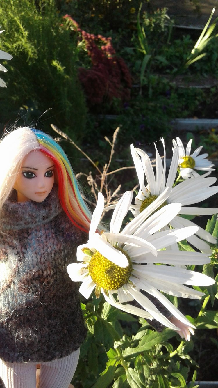 Зимнее солнце. Глава 10. Джаред из семьи Фоксов