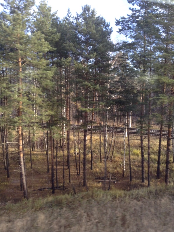 Белое солнце пустыни. Ч.1 Дорога к морю (фото 2)