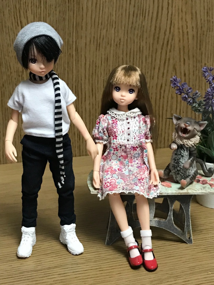 Крошки Руроко — Куклы Momoko и Ruruko (Petworks (фото 2)