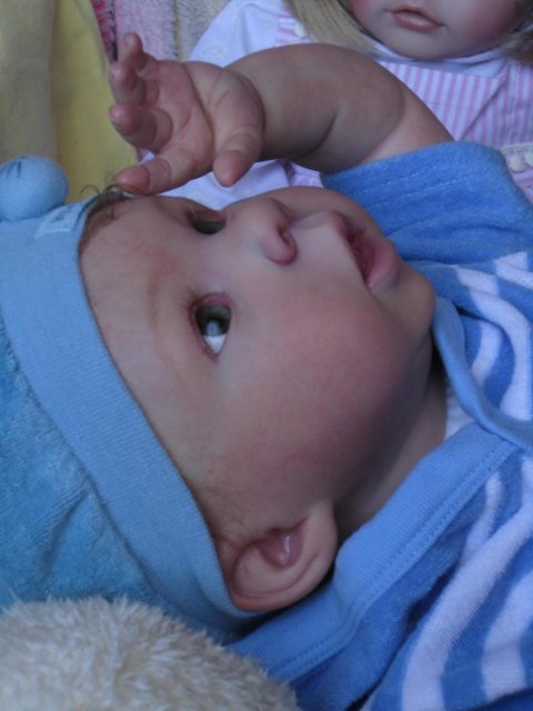 У нас появились новенькие