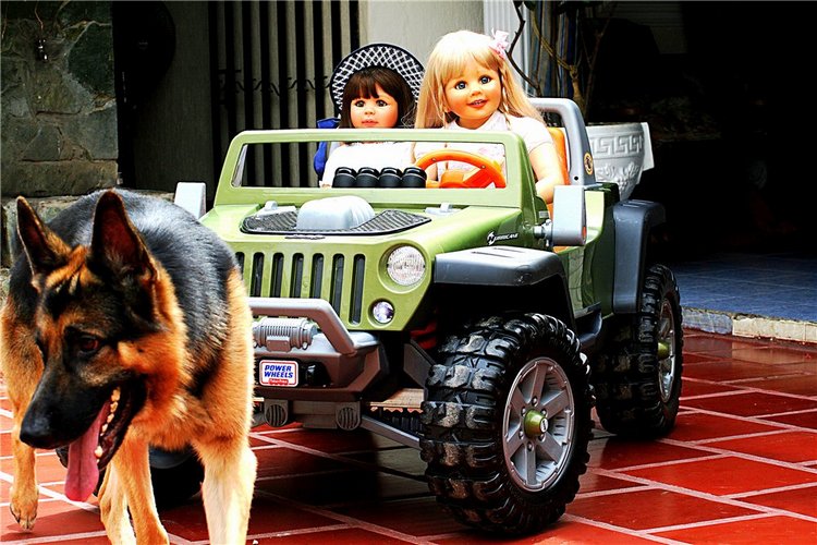 Куклы в руках коллекционеров (фото 7)