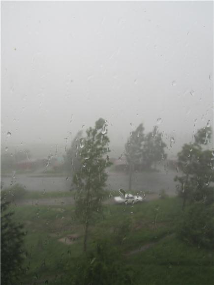 Сказка о том, какая Мэгги добрая девочка. Бывает (фото 10)